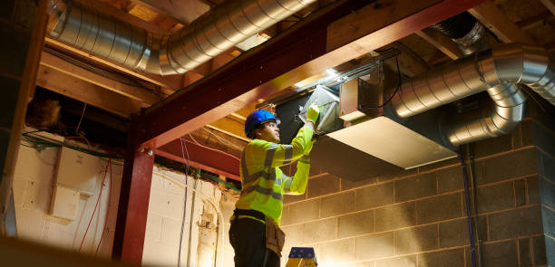 Best Air Duct Mold Removal  in East Franklin, NJ