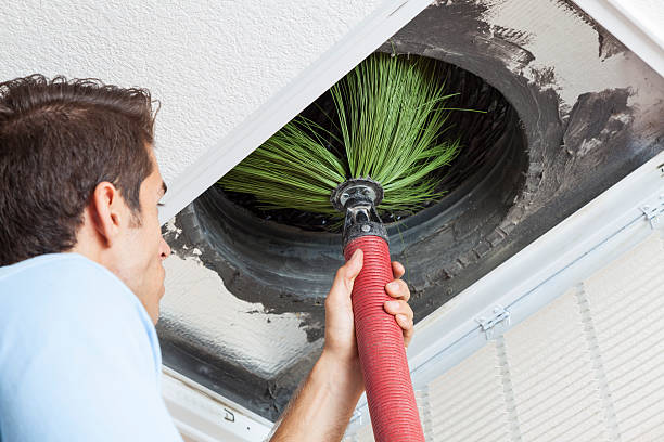 Best Dryer Vent Cleaning Services  in East Franklin, NJ